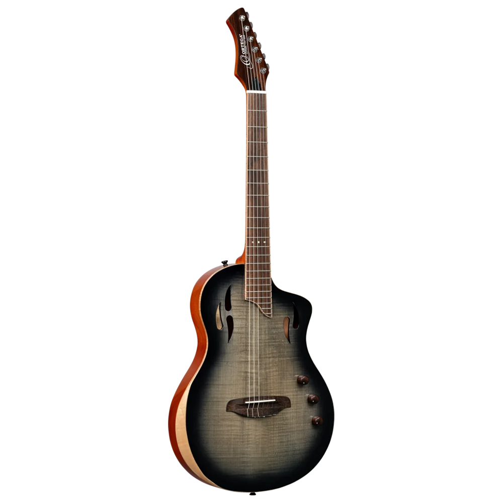 RTPG-LS1
