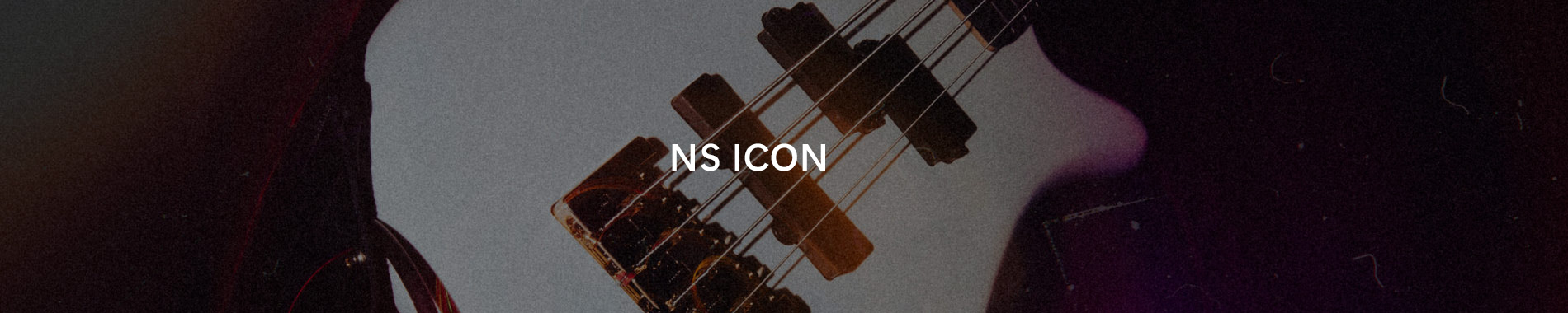 NS ICONシリーズ