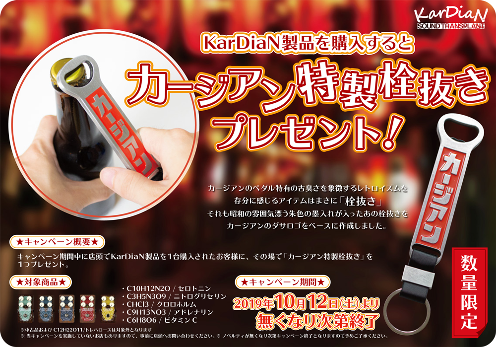 KarDiaN ノベルティキャンペーン 2019