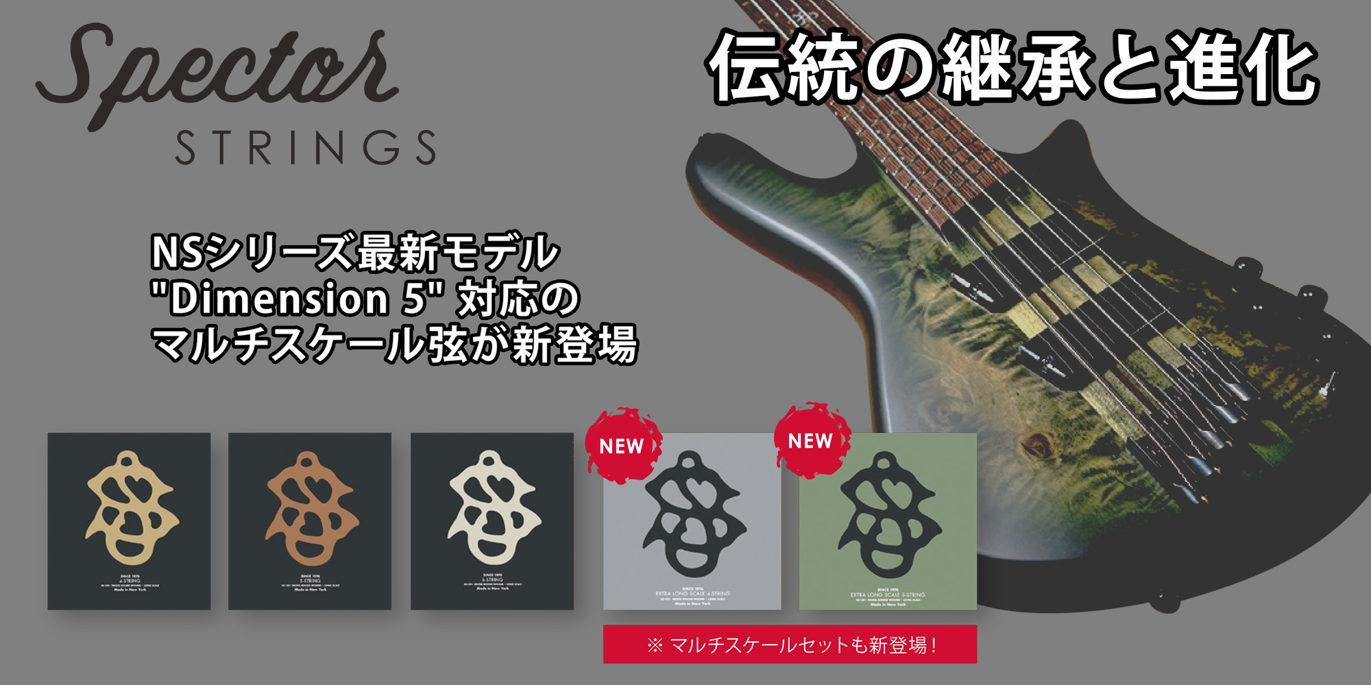 新製品 SPECTOR STRINGS