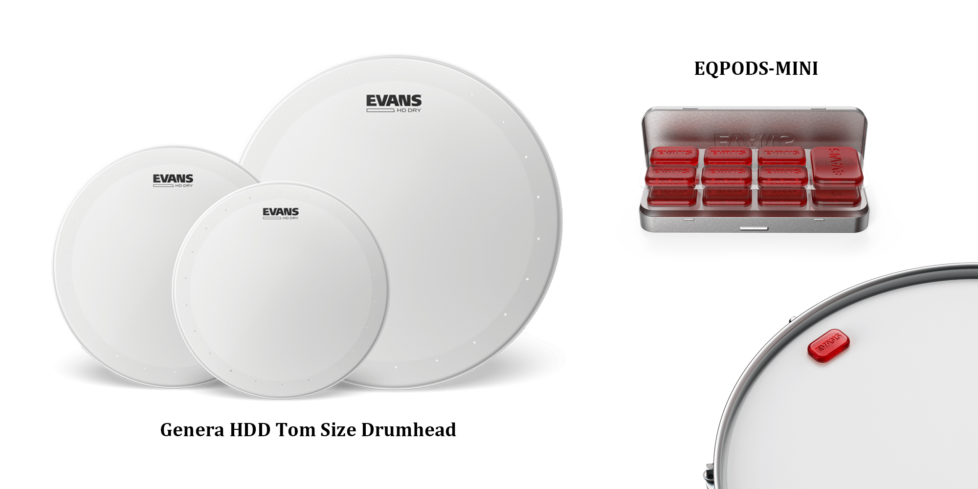 EVANS 2025 新製品 HDD for Tom / EQPODSMINI
