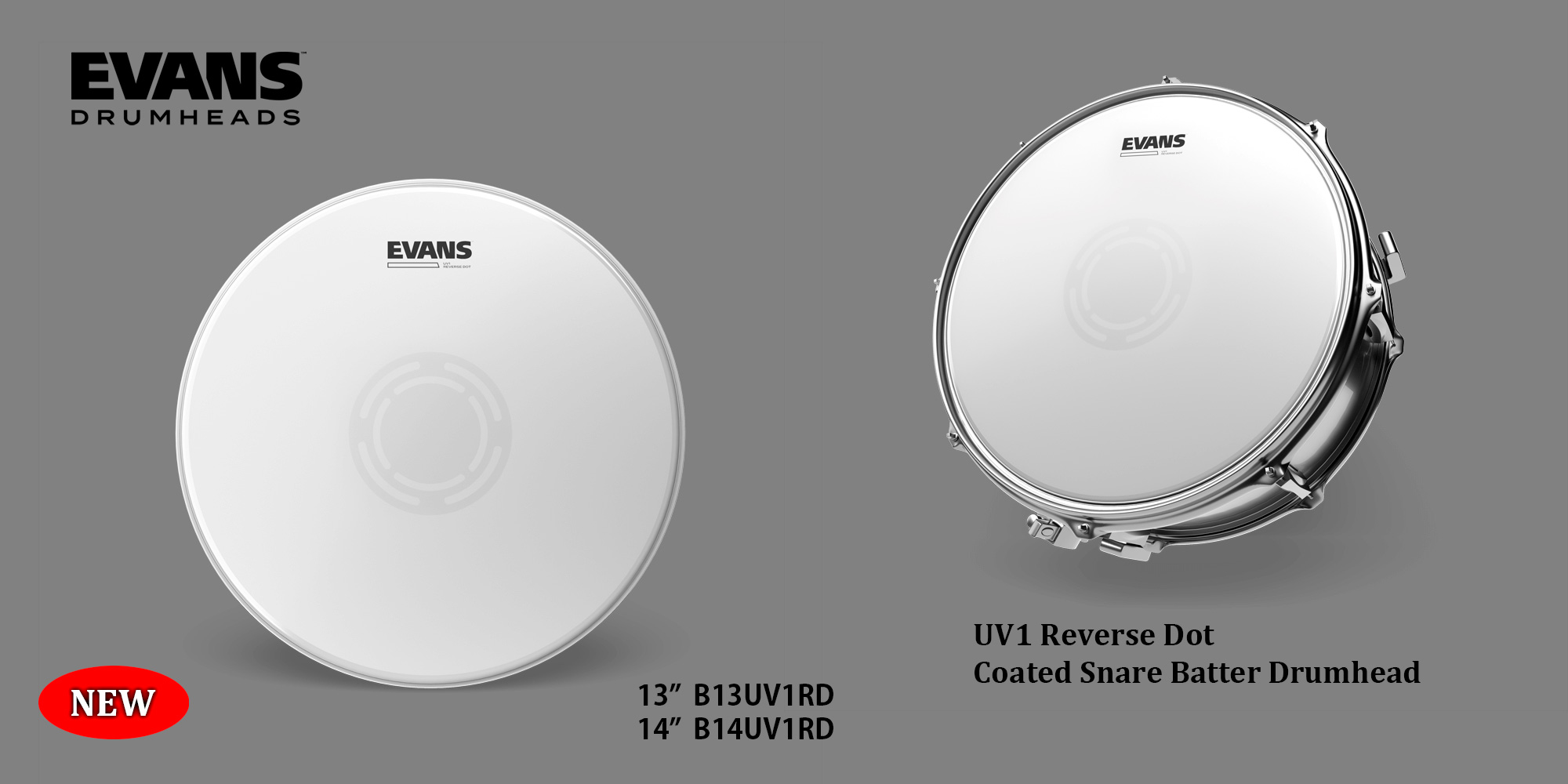 EVANS 2025 新製品 UV1 Reverse Dot