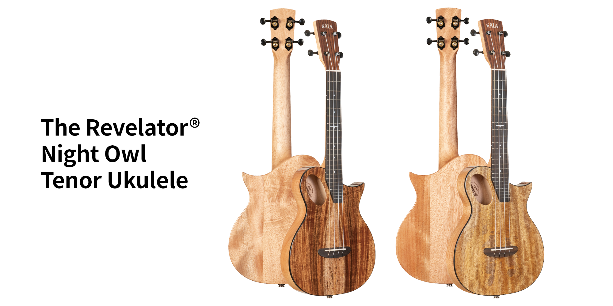 KALA ウクレレ新製品 The Revelator® Night Owl Tenor Ukulele