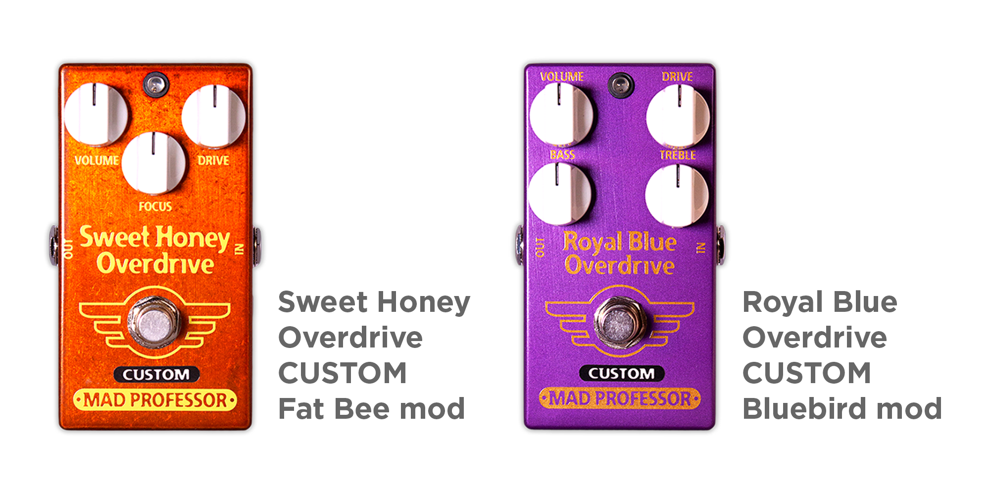 Mad Professor 新製品 Custom Mod