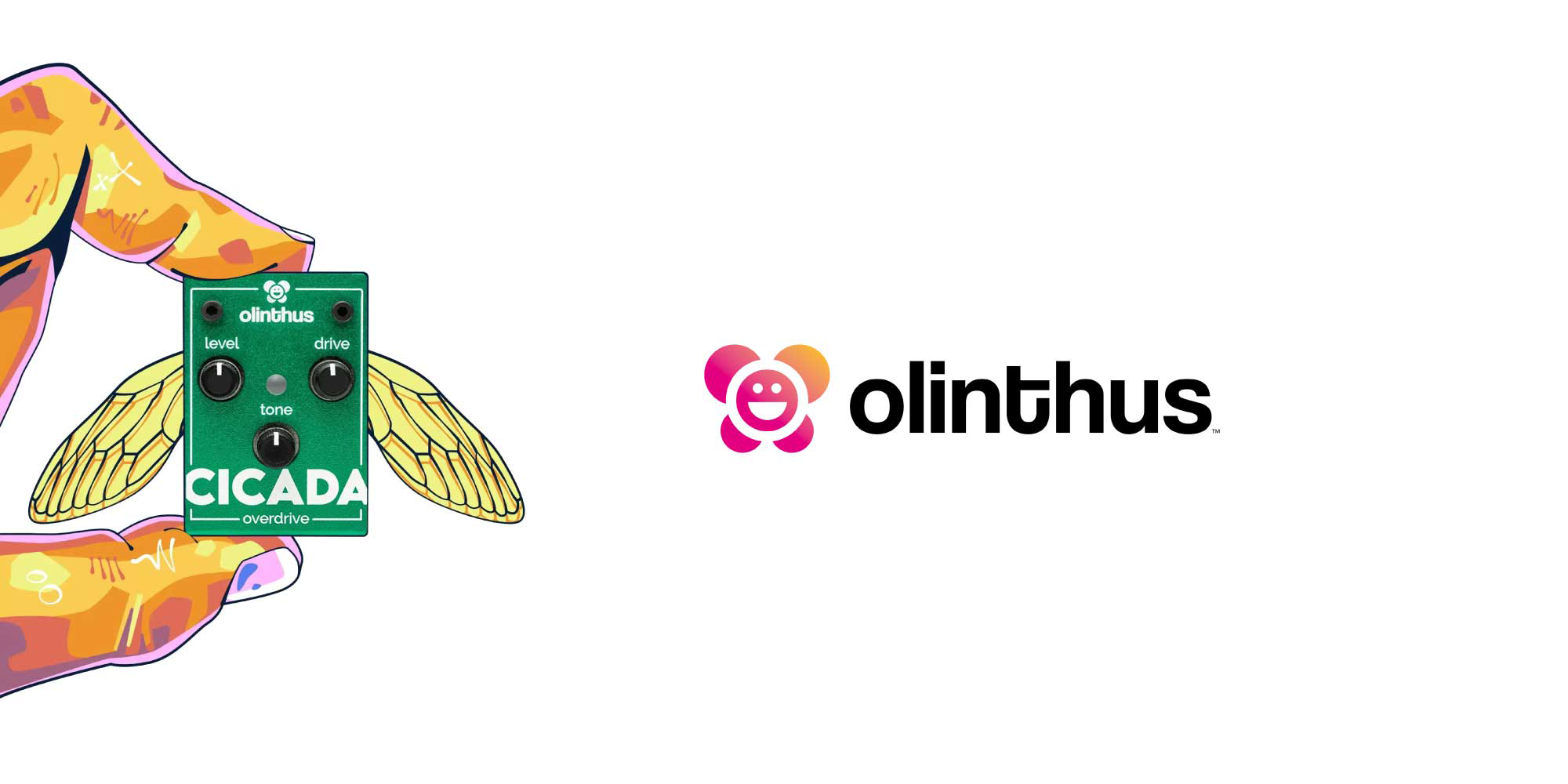Olinthus 製品取り扱い開始のご案内