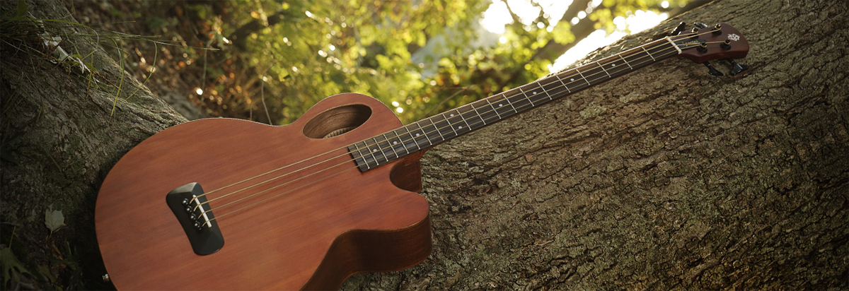 Spector から新製品 Timbre Acoustic Bassが発売！